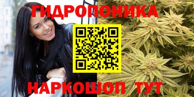 дмт Краснознаменск