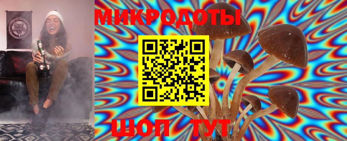Псилоцибиновые грибы мухоморы Избербаш