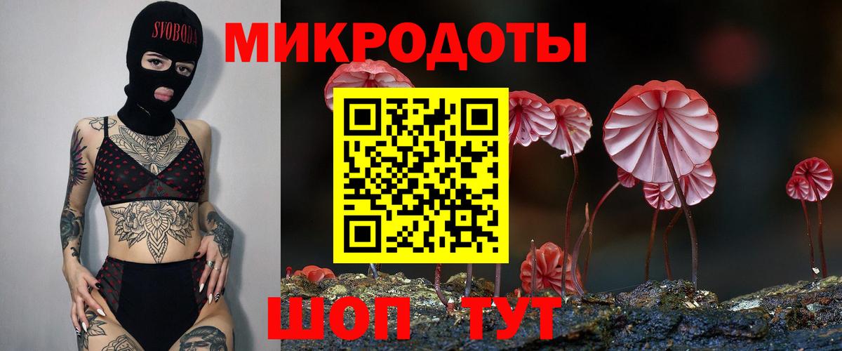Избербаш  как найти   Вход с VPN  Псилоцибиновые грибы Psilocybine cubensis 